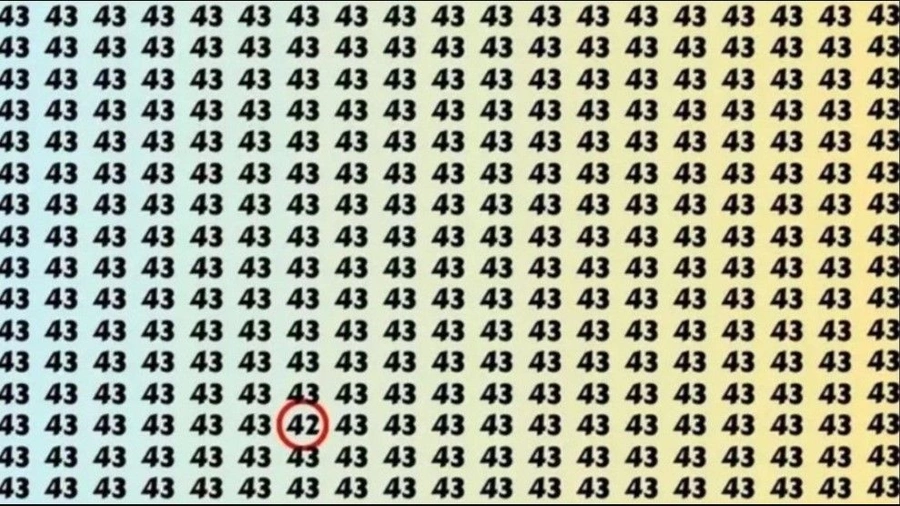 x2-kht5.webp