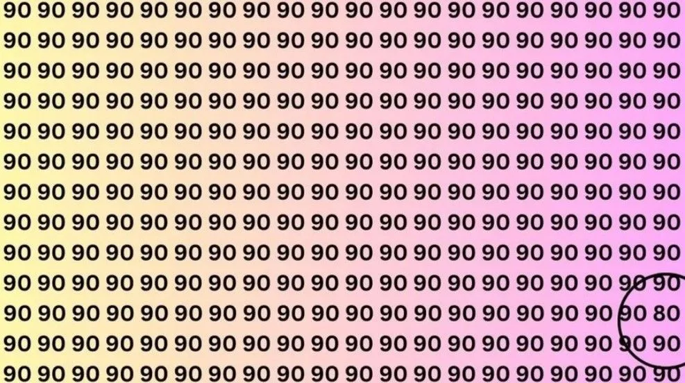 2-001.webp