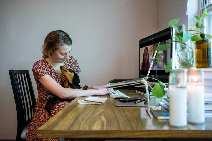 wfh-remote-work-from-home-laptop-pet-dog-video-call.jpg