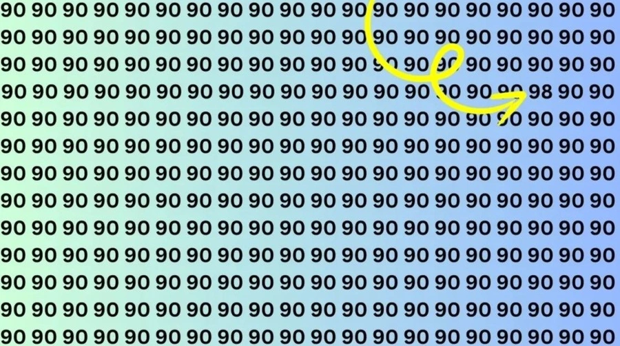 x2-qipz.webp