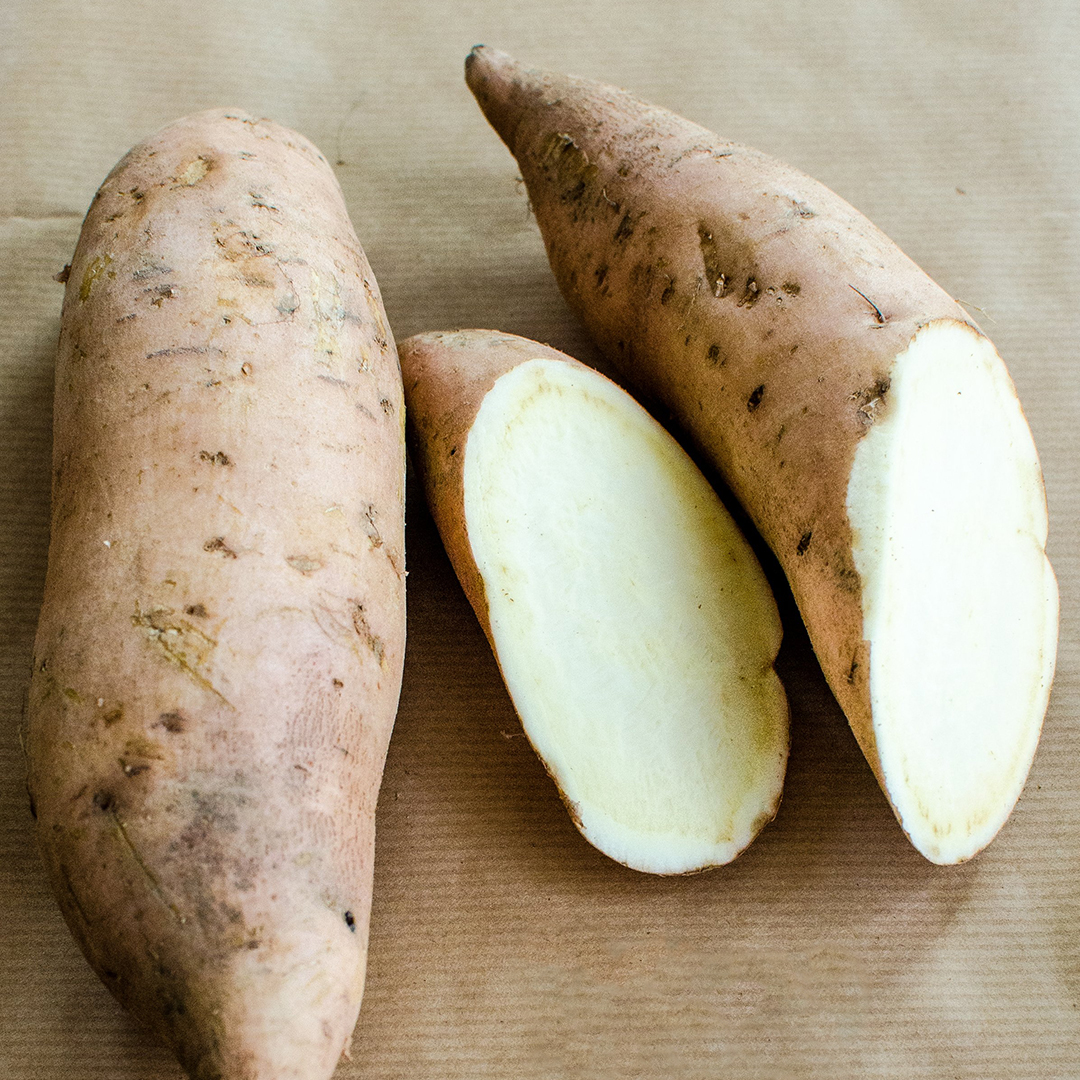 tatli-beyaz-patates-alanya-tropik-bahcen-bidolumedya.jpg