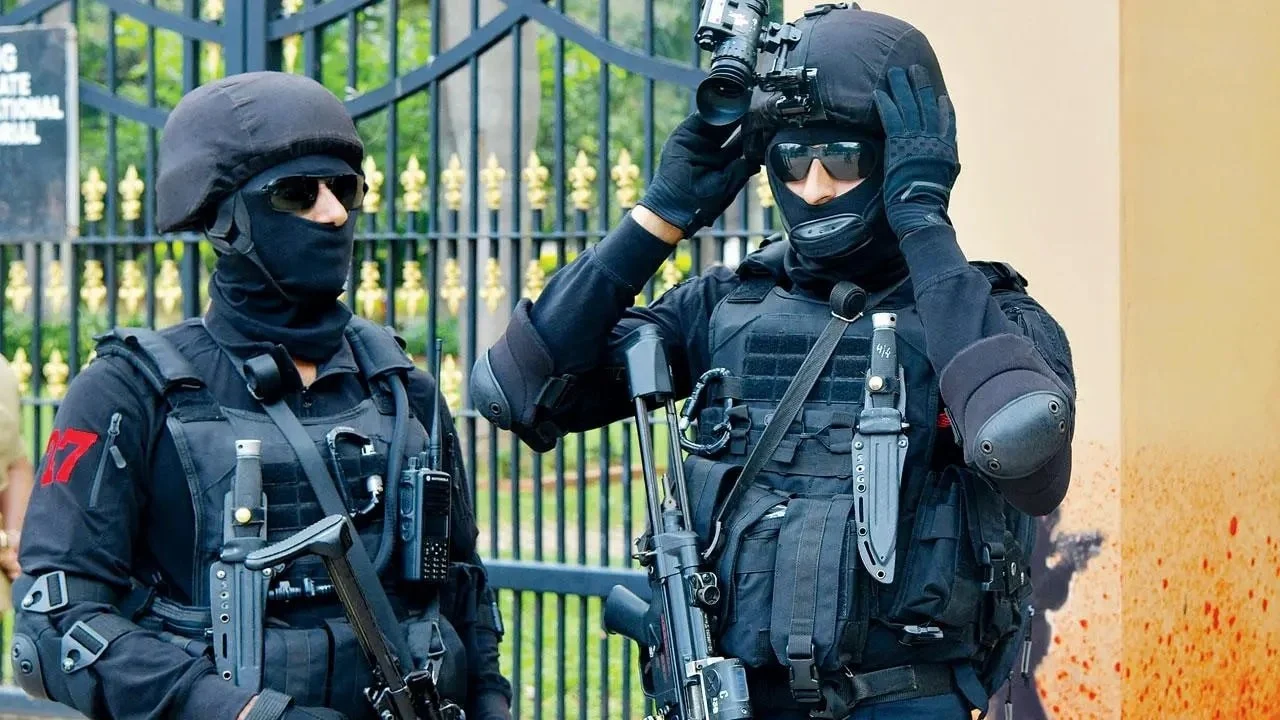 nsg.webp