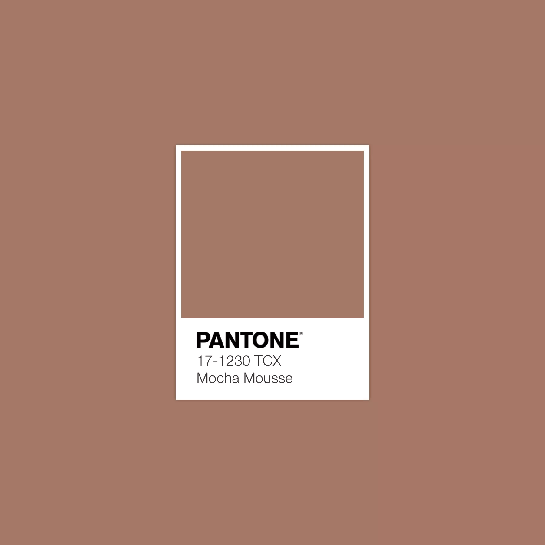 pantone-17-1230-tcx-mocha-mousse-color.webp