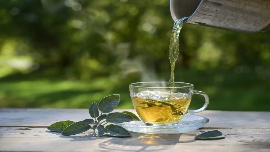 yesil-cayin-faydalari.webp