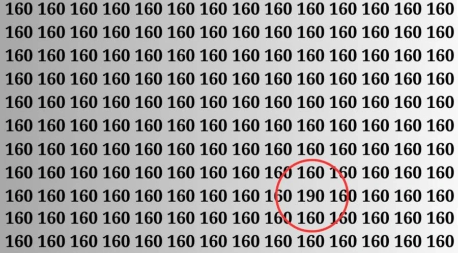 s2-vgoy.webp