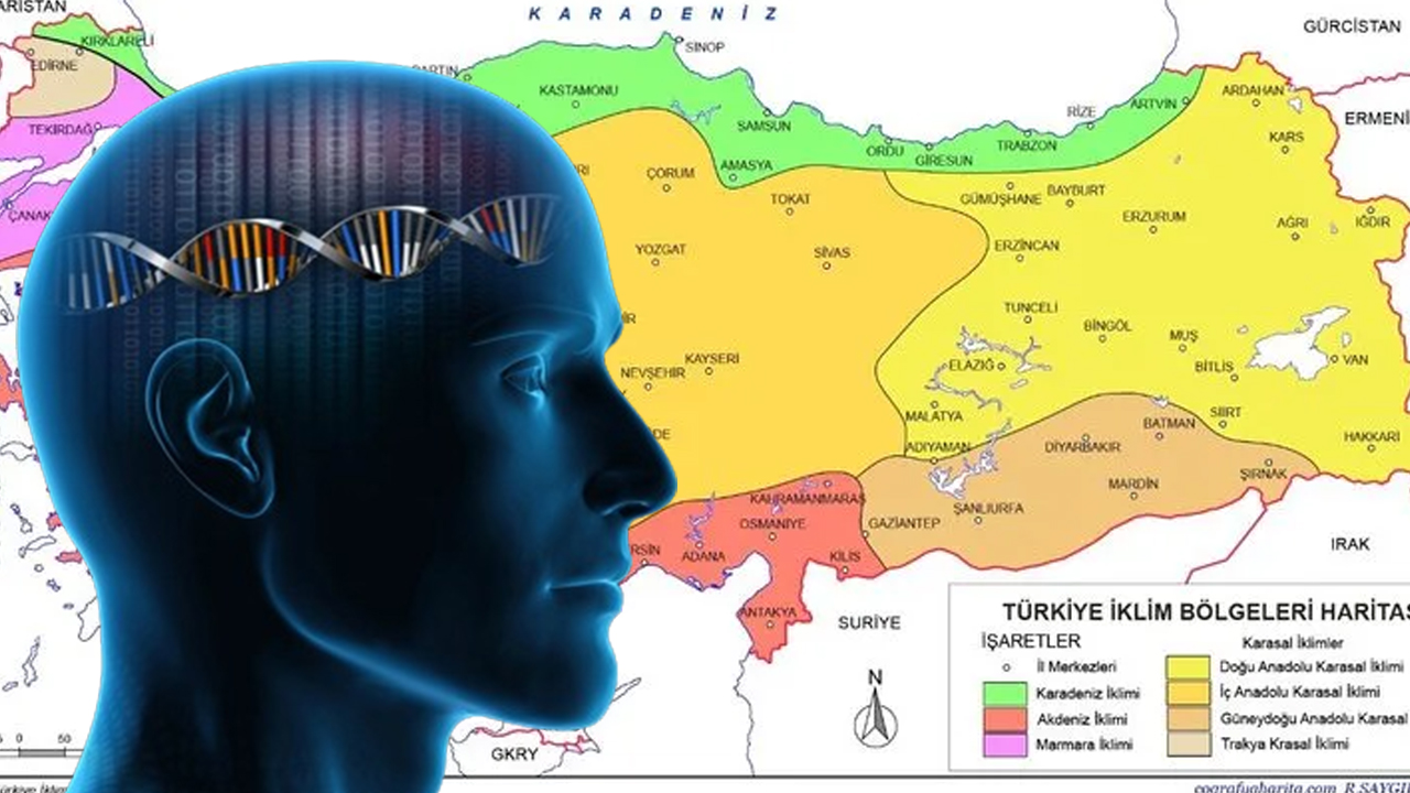 bu-sehirde-yasayanlarin-zekasi-sahane-seviyede-cikiyor-turkiyenin-iq-haritasi-1712918530560.jpg