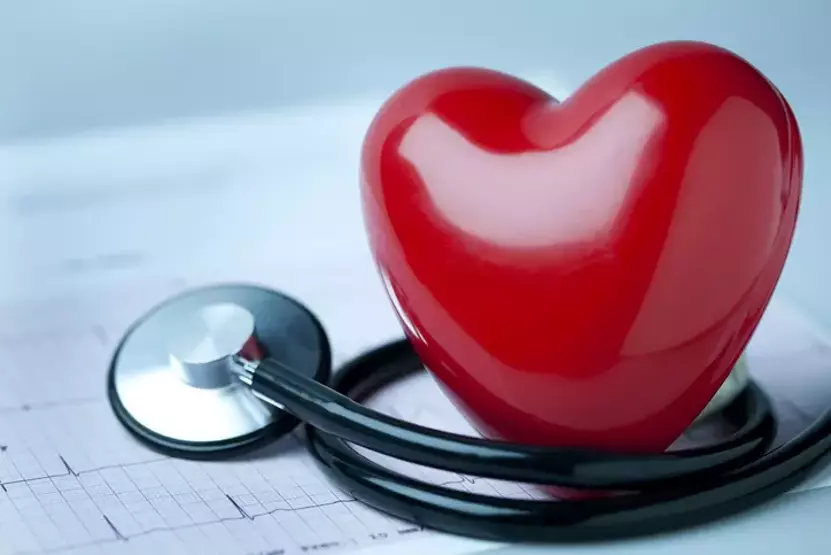6740f1ae114d508246cb04fe.webp