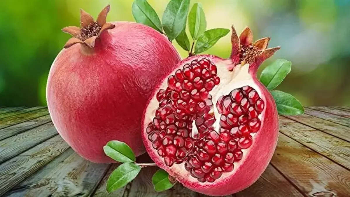6115a50f2af107250007120c.webp
