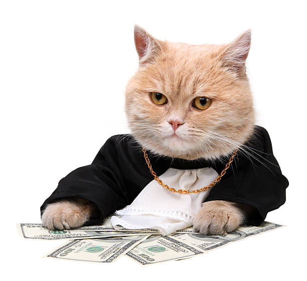 istockphoto-119967843-612x612.jpg