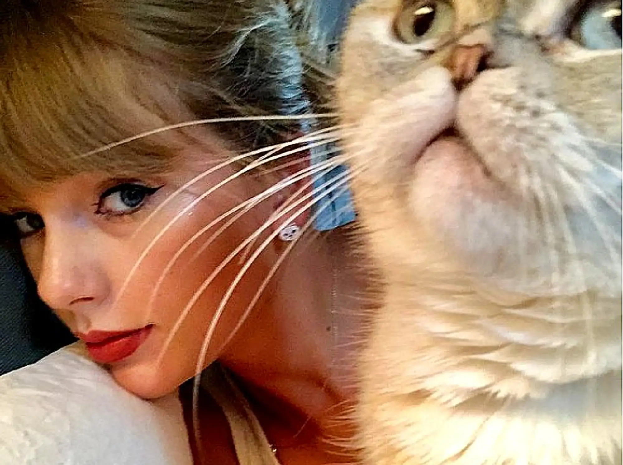 taylor-swift-with-cat-olivia-jpg.webp