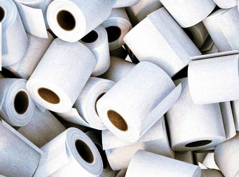 photo-waste-toilet-rolls.jpg