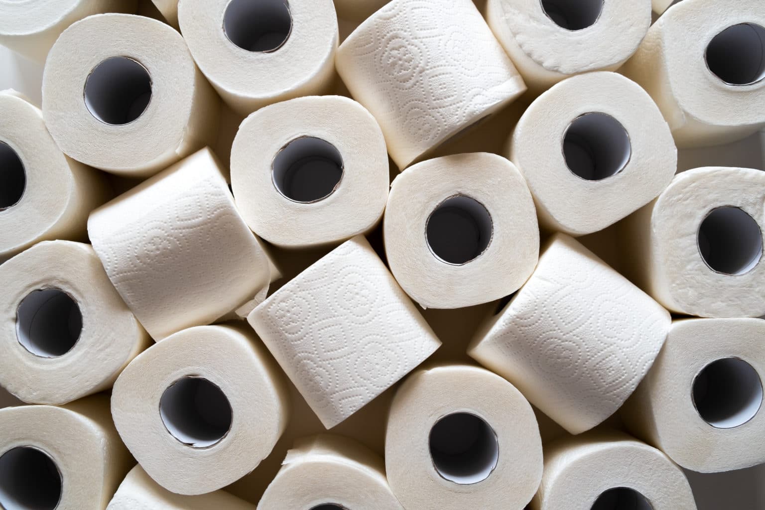 tp2-1536x1024-1.jpeg