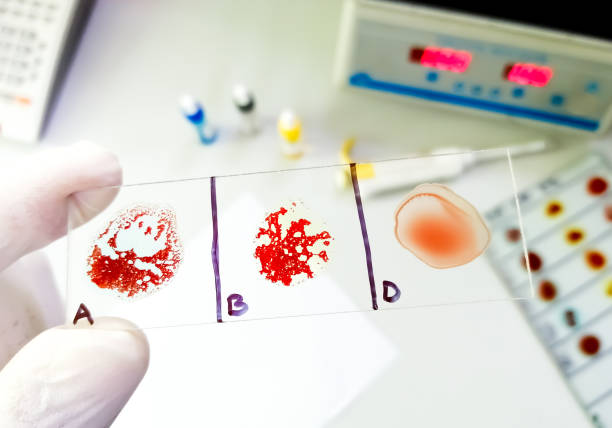 istockphoto-1373549851-612x612.jpg