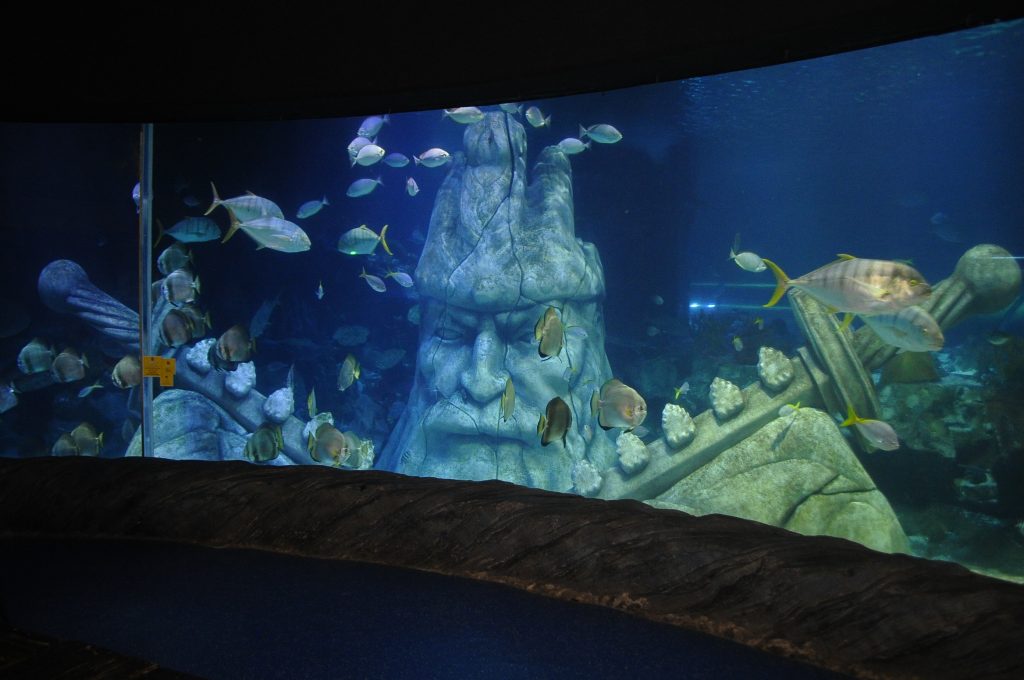 sealife1-1024x680-001.jpg