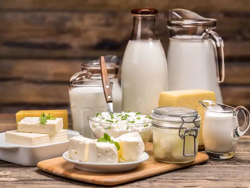 sut-urunleri-hakkinda-bilmeniz-gereken-her-sey-4c834528-0866-429d-9914-47f86af78379-jpg-001.webp