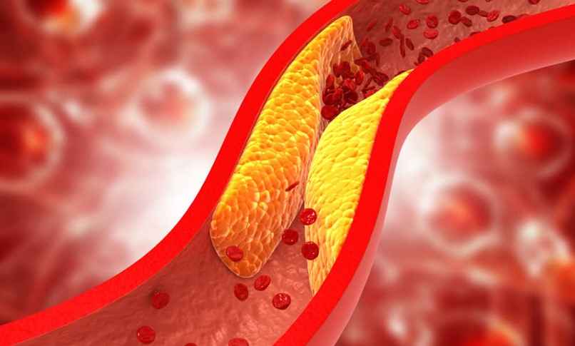 ceptesaglik-blog-hdl-kolesterol-nedir-3363288ad63fc77.webp