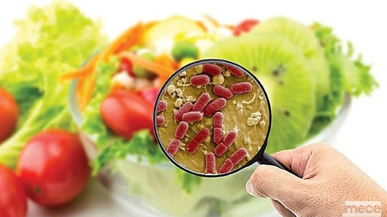 sicaklarda-gida-zehirlenmesi-vakalarina-dikkat-3200.webp
