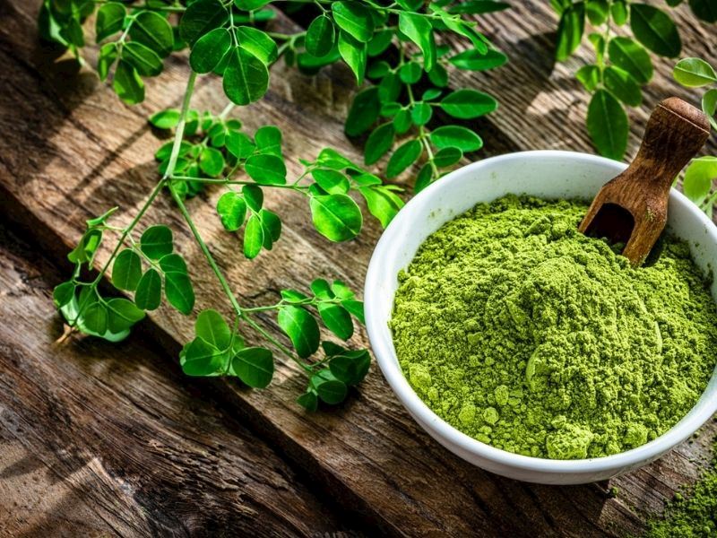 moringa-bitkisinin-faydalari-nelerdir-318ee890-d0bc-4f06-bee6-64d3d4a2c518.jpeg