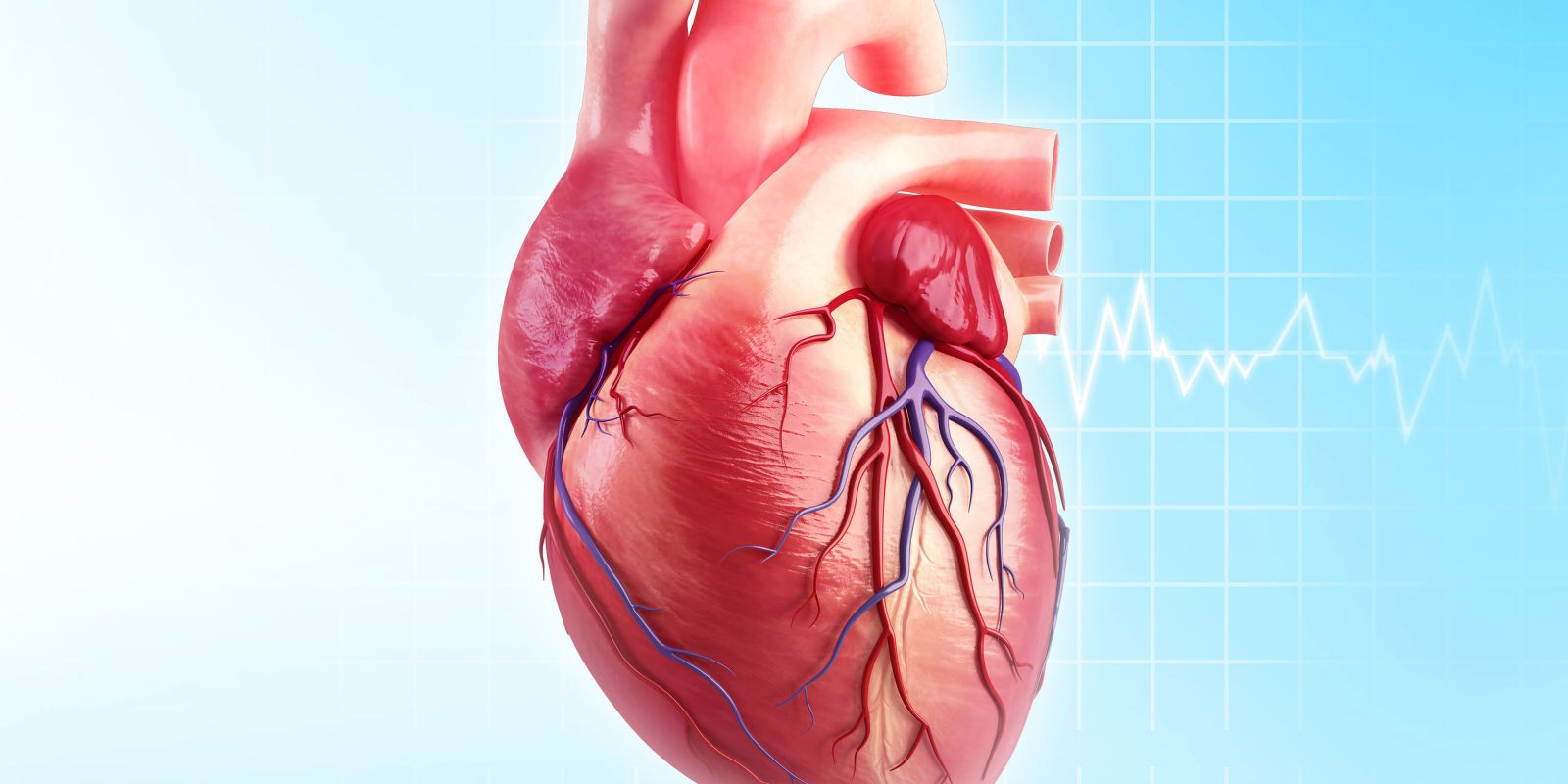 landscape-1445720571-g-heart-disease-168832618.jpg