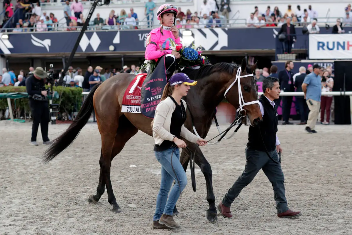 14717723-web1-pegasus-stronach-horse-racing.webp