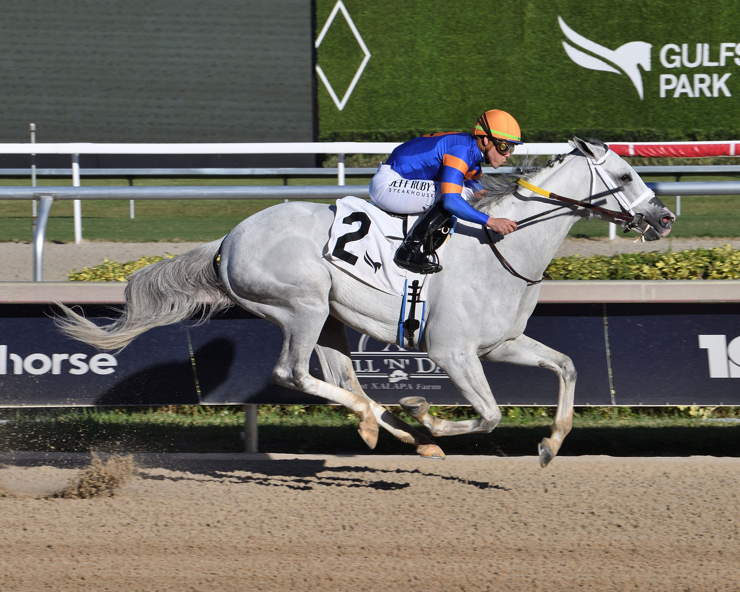 white-abarrio.jpg