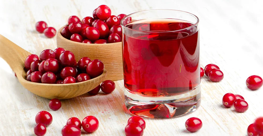 kizilcik-serbeti-suyu-cranberries-2.webp