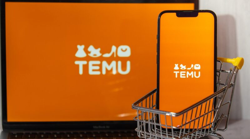 dropshipping-temu-scaled-1-800x445.jpeg