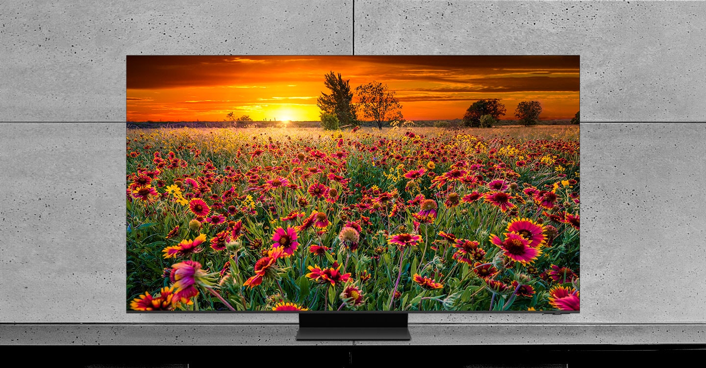 2023-tv-buying-guide-what-is-qled-oled-and-neo-qled-f03-pc.jpg