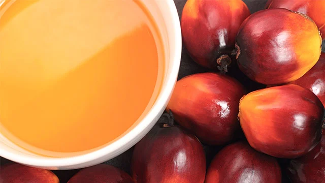 palm-oil-processing-intro-img.webp