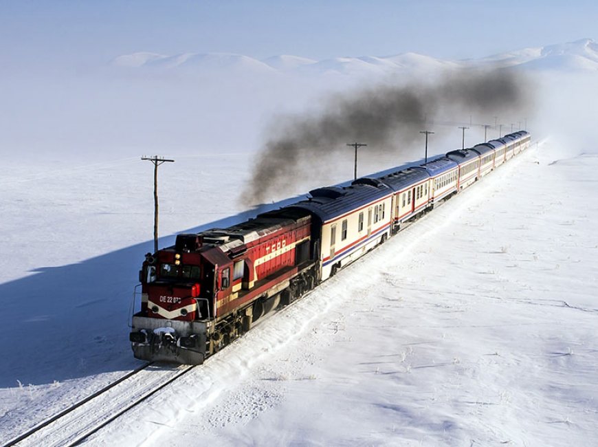 217-b.jpg