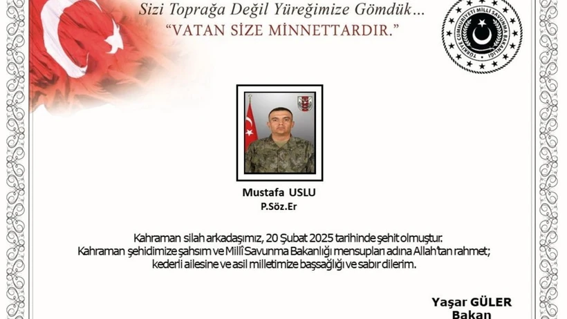 ii.webp