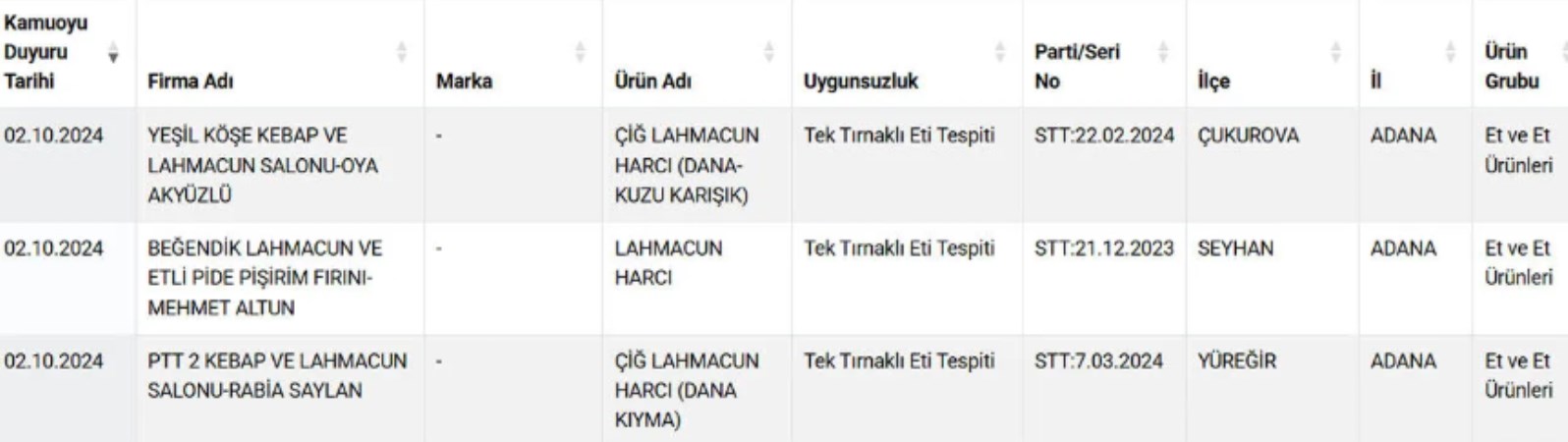 183809310-lahmacun1.jpg