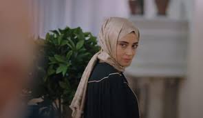 kizilcik-serbeti4.jpg