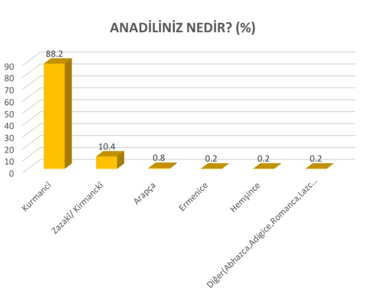 anadil1.jpg
