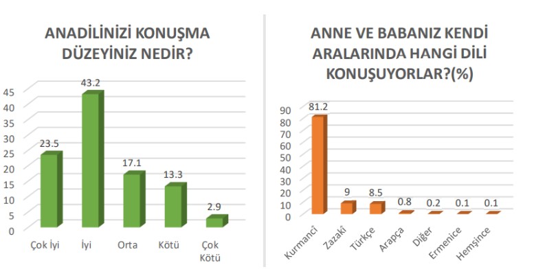 anadil2.jpg