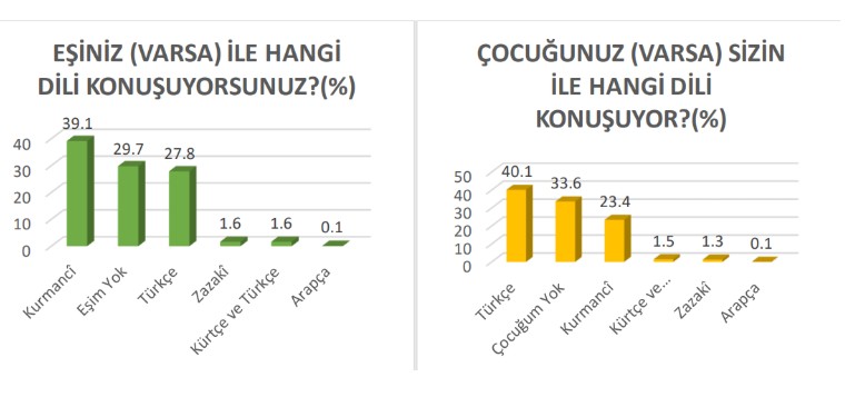 anadil3.jpg