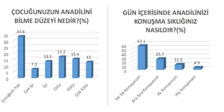 anadil4.jpg