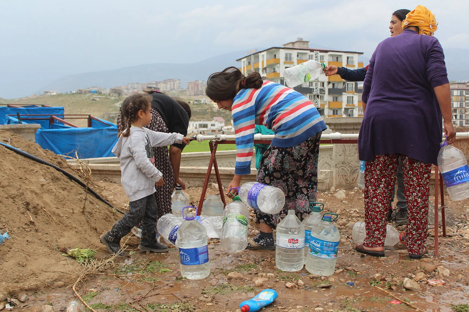 iskalanmis-hayatlar-domlar-1-1.webp