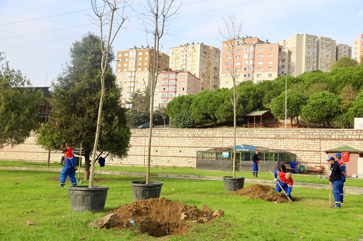 061125-agaclandirma-ic.jpg