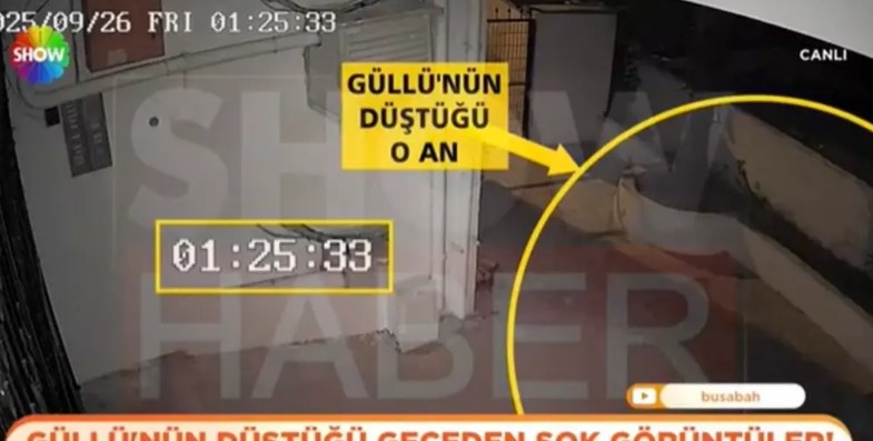 gullu2.jpg