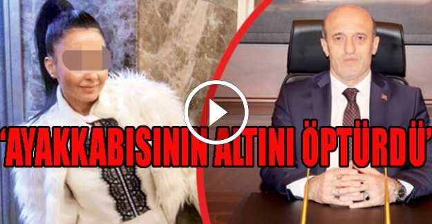 Vali Beyin orman soruşturması
