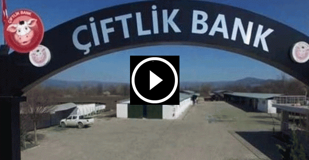 'Çiftlik Bank'ın neyine güvendiniz' sorusuna şok yanıt