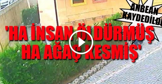 Cemaat namazı bitirmeden ağaçları kesip götürdüler
