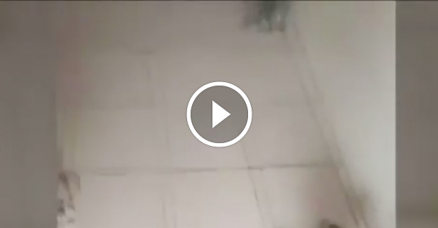 CHP'li vekilden suç duyurusu