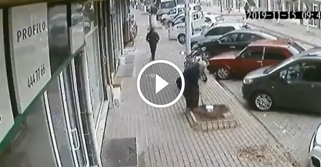 Ağacı söken yaşlı adam tepki çekti