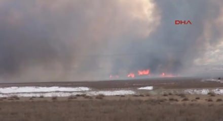 Erzincan kuş cennetinde yangın