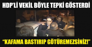 HDP'li Baluken: Kafama bastırıp götüremezsiniz