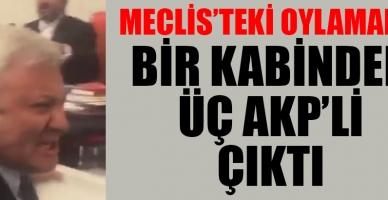 Aynı kabinde 3 AKP'li