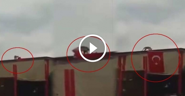 Vatansever kedi rüzgarın etkisiyle toplanan Türk Bayrağı'nı düzeltti