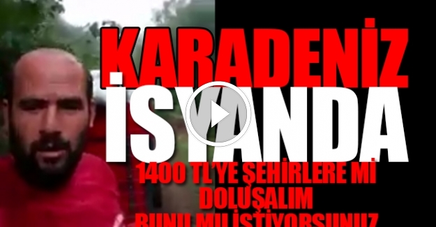 Fındık üreticisi isyanda: Biz size oy verdik, siz küresel Ferrero şirketine imtiyaz sağladınız